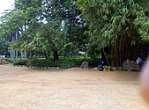 IMG_20160608_141231.jpg
