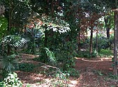 IMG_20160608_141519.jpg