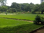 IMG_20160608_141701.jpg