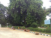 IMG_20160608_142437.jpg