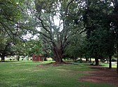 IMG_20160608_142711.jpg