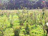 IMG_20160608_142947.jpg