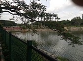 IMG_20160608_143238.jpg
