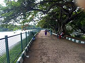 IMG_20160608_143246.jpg