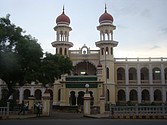 DSC07567.JPG