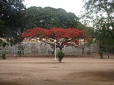 DSC07568.JPG
