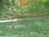 DSC07613.JPG