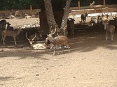 DSC07625.JPG