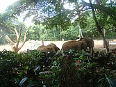 DSC07629.JPG