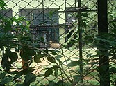 DSC07632.JPG