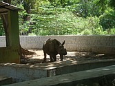 DSC07633.JPG