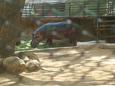 DSC07634.JPG