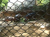 DSC07635.JPG