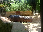 DSC07636.JPG