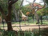 DSC07637.JPG