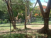 DSC07638.JPG