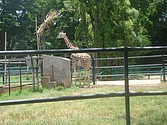 DSC07639.JPG