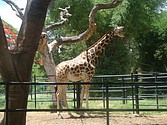 DSC07640.JPG