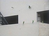 DSC07659.JPG