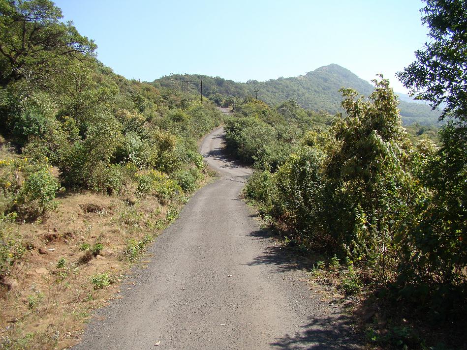 DSC02018.JPG