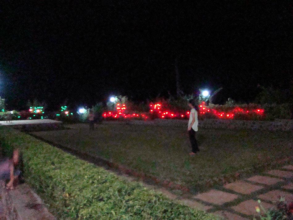 DSC02175.JPG - I tried taking snap during night using higher ISO setting...