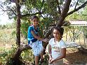 DSC02030