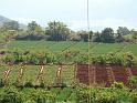 DSC02040