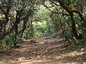 DSC02128